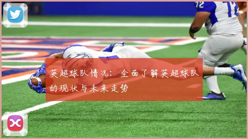 英超球队情况：全面了解英超球队的现状与未来走势
