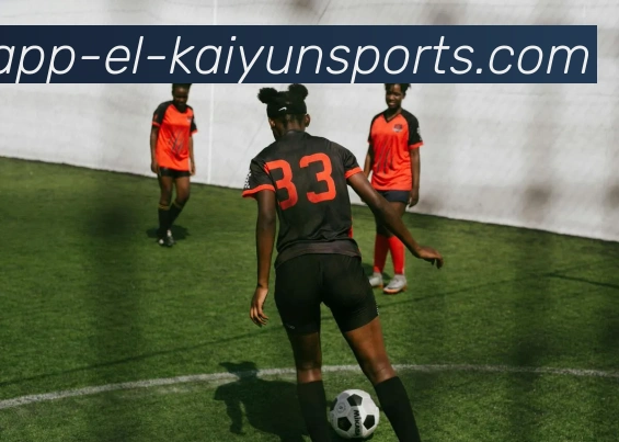 开云app平台生态图